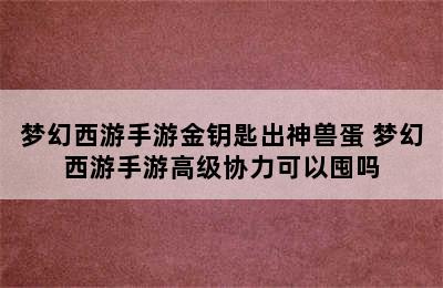 梦幻西游手游金钥匙出神兽蛋 梦幻西游手游高级协力可以囤吗